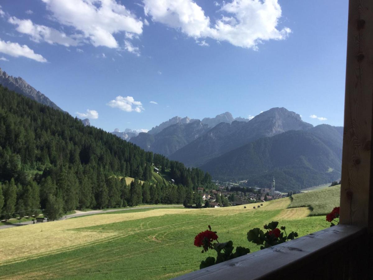 Altmessnerhof Apartment Dobbiaco Luaran gambar
